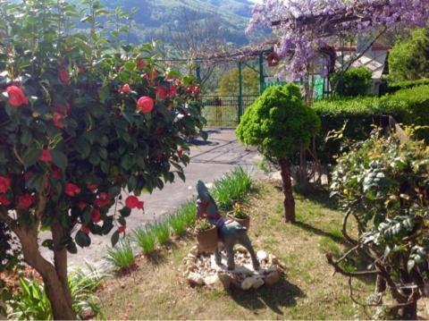 Peter Ranch 3 Apartman Vico Canavese Kültér fotó
