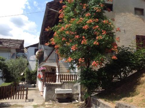 Peter Ranch 3 Apartman Vico Canavese Kültér fotó